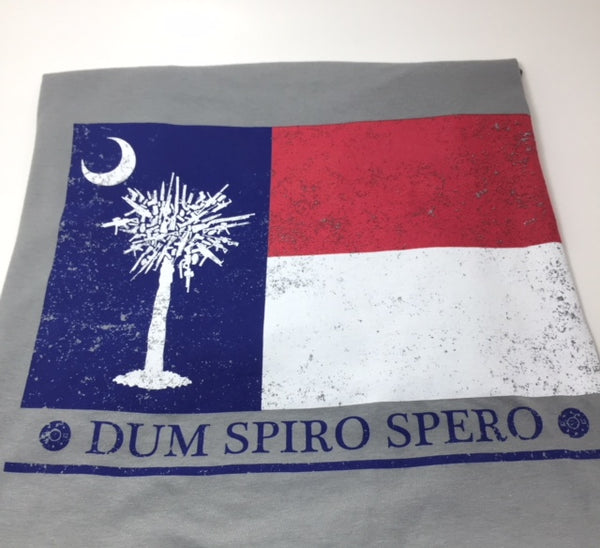 Have a Palmetto Christmas in South Carolina with our State Pride Towel –  GLORY HAUS